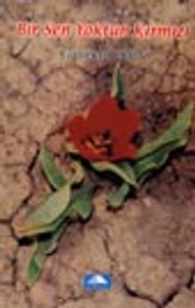 Bir Sen Yoktun Kırmızı