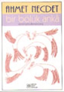 Bir Bölük Anka