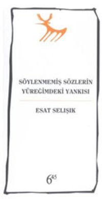 Söylenmemiş Sözlerin Yüreğimdeki Yankısı