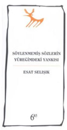 Söylenmemiş Sözlerin Yüreğimdeki Yankısı