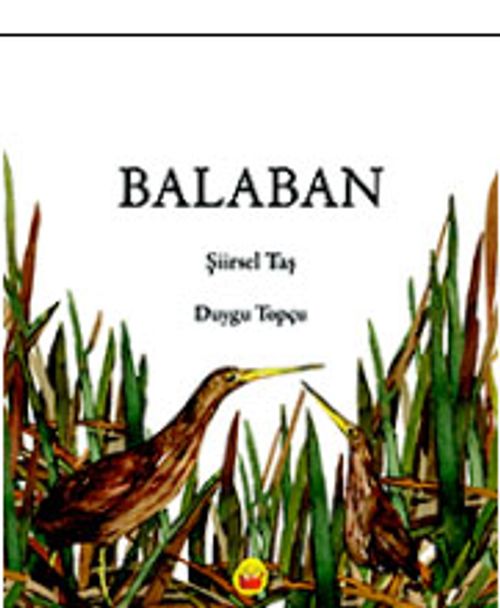 Balaban