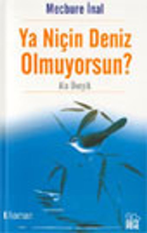 Ya Niçin Deniz Olmuyorsun?