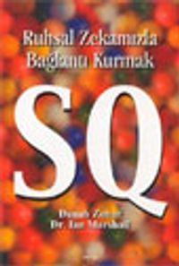 Ruhsal Zekamızla Bağlantı Kurmak SQ