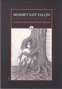 Şekok Gölgesine Düşen İzler