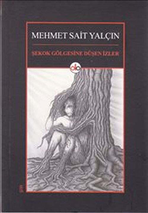Şekok Gölgesine Düşen İzler