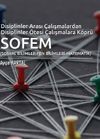 Disiplinler Arası &Ccedil;alışmalardan Disiplinler &Ouml;tesi &Ccedil;alışmalara K&ouml;pr&uuml; SOFEM
