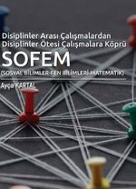Disiplinler Arası Çalışmalardan Disiplinler Ötesi Çalışmalara Köprü SOFEM