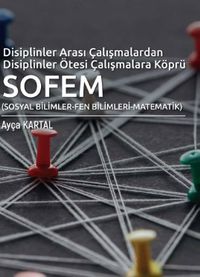 Disiplinler Arası Çalışmalardan Disiplinler Ötesi Çalışmalara Köprü SOFEM
