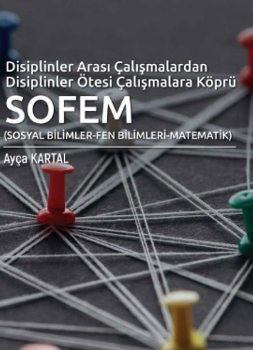 Disiplinler Arası Çalışmalardan Disiplinler Ötesi Çalışmalara Köprü SOFEM