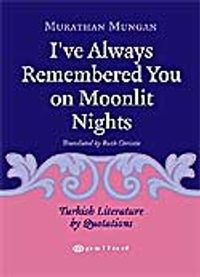 I've Always Remembered You On Moonlit Nights