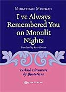 I've Always Remembered You On Moonlit Nights