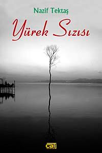 Yürek Sızısı