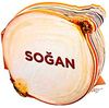 Soğan / Lezzetli Magnetler