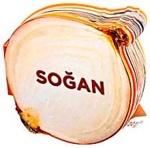 Soğan / Lezzetli Magnetler