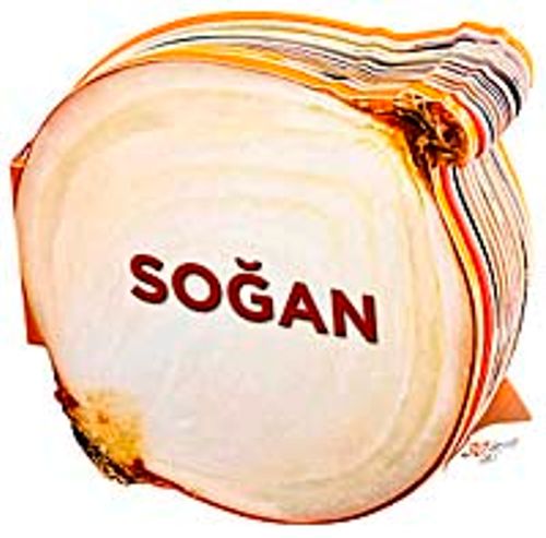 Soğan / Lezzetli Magnetler