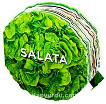 Salata / Lezzetli Magnetler