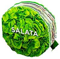 Salata / Lezzetli Magnetler
