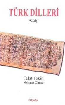 Türk Dilleri (Giriş)