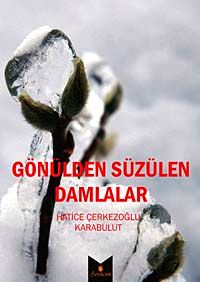 Gözülden Süzülen Damlalar