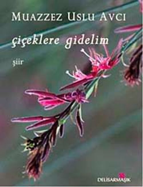 Çiçeklere Gidelim