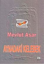 Aynadaki Kelebek