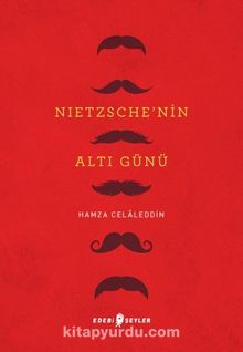 Nietzsche’nin Altı Günü - Hamza Celaleddin