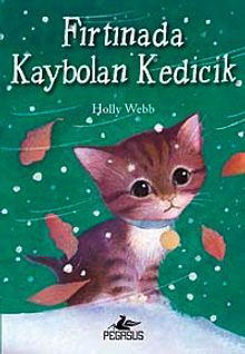 Fırtınada Kaybolan Kedicik