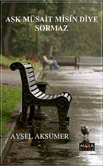 Aşk Müsait misin Diye Sormaz