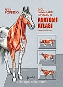 Evcil Hayvanların Topografik Anatomi Atlası Popesko