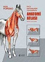 Evcil Hayvanların Topografik Anatomi Atlası Popesko