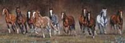 Serbest Zaman Puzzle (26x36 Kod:1000-1010)