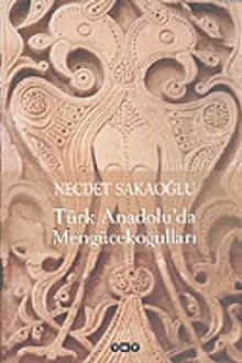 Türk Anadolu'da Mengücekoğulları