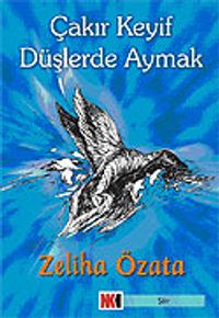 Çakır Keyif Düşlerde Aymak