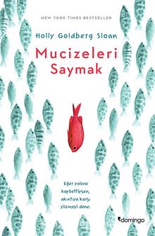 Mucizeleri Saymak - Holly Goldberg Sloan