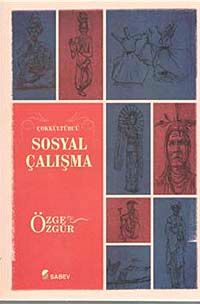 Çokkültürcü Sosyal Çalışma