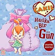 Çakıl / Harika Bir Gün