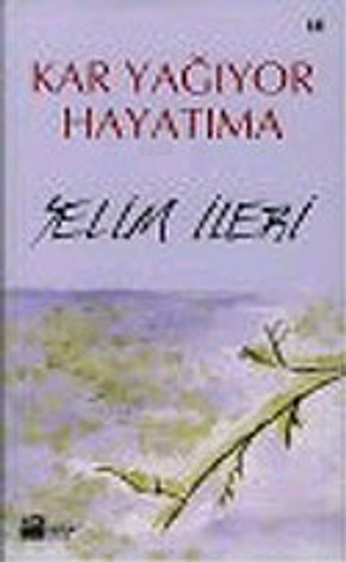Kar Yağıyor Hayatıma