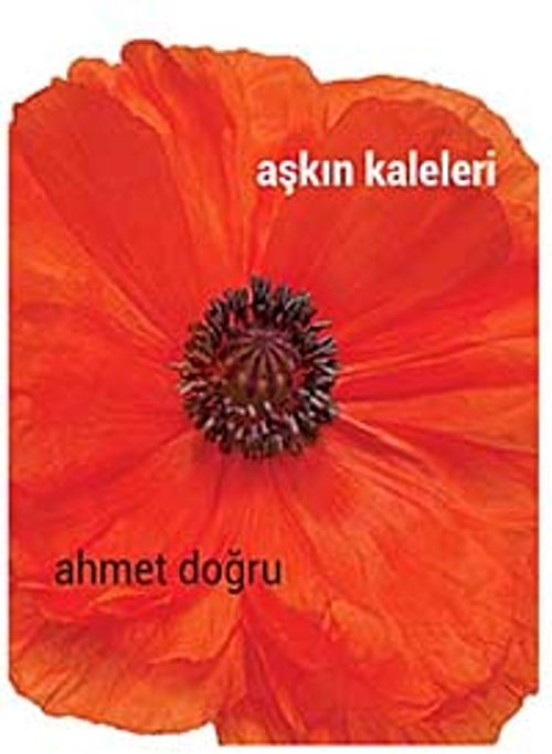 Aşkın Kaleleri