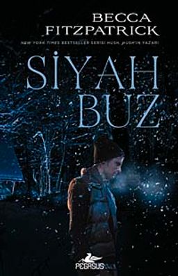 Siyah Buz (Ciltli)