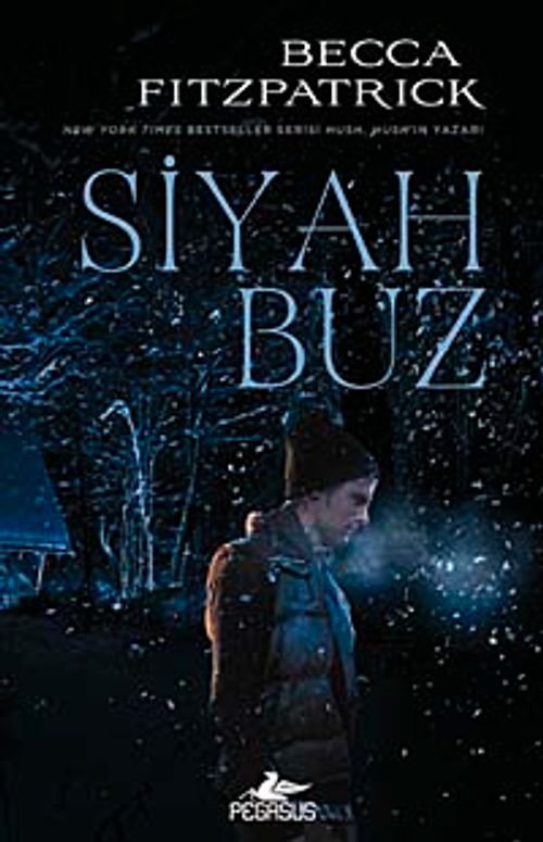 Siyah Buz (Ciltli)