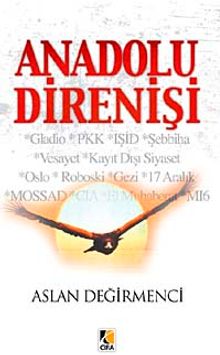 Anadolu Direnişi