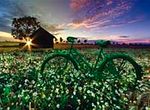 Tour de France Puzzle (26x36 Kod:1000-1007)