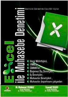 Excel ile Muhasebe Denetimi