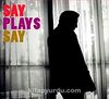 Say Plays Say (Cd)