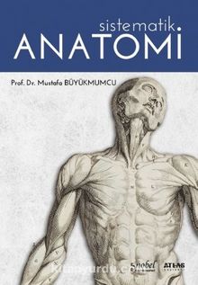 Sistematik Anatomi 2018-2019
