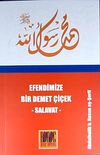 Efendimize Bir Demet &Ccedil;i&ccedil;ek - Salavat