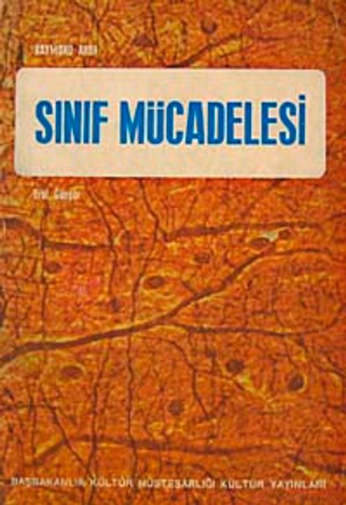 Sınıf Mücadelesi (5-D-35)