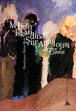 Modern İskandinav Şiir Antolojisi & Gece Güneşi