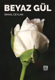 Beyaz Gül
