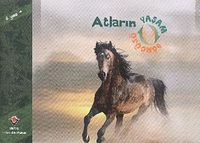 Atların Yaşam Döngüsü